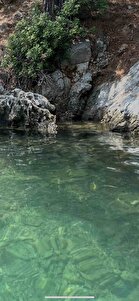 Müşteri yorumu görseli