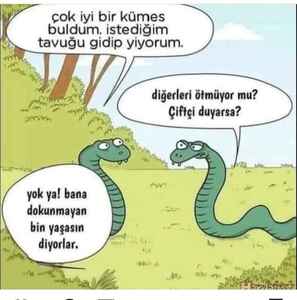 yorum görseli