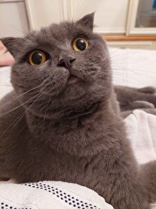 Değerlendirme fotoğrafı