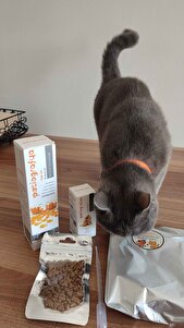 Değerlendirme fotoğrafı