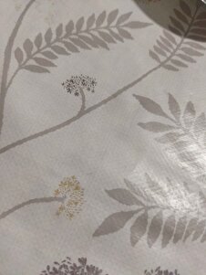 Değerlendirme fotoğrafı