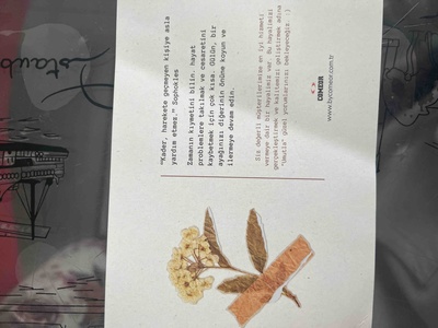 Değerlendirme fotoğrafı