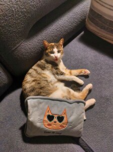 Değerlendirme fotoğrafı