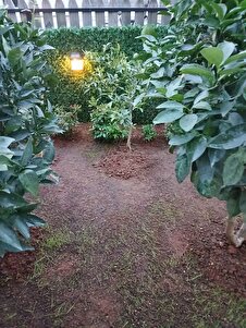 Müşteri yorumu görseli