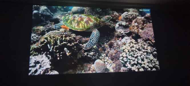 Müşteri yorumu görseli