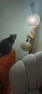 Müşteri yorumu görseli