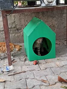 Müşteri yorumu görseli