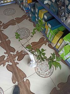 Müşteri yorumu görseli