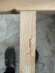 Müşteri yorumu görseli