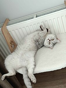 Değerlendirme fotoğrafı