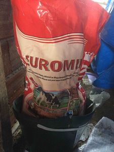 Müşteri yorumu görseli