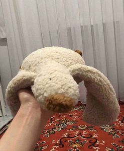 Müşteri yorumu görseli