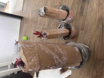 Müşteri yorumu görseli