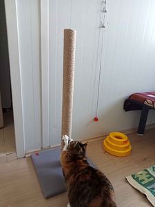 Müşteri yorumu görseli