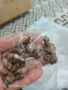 Müşteri yorumu görseli