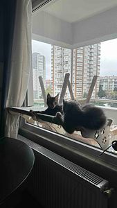 Müşteri yorumu görseli
