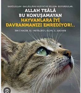 Müşteri yorumu görseli