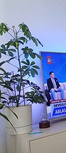 Müşteri yorumu görseli