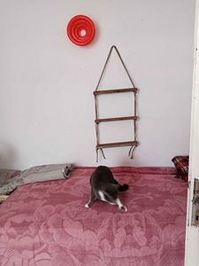 Müşteri yorumu görseli