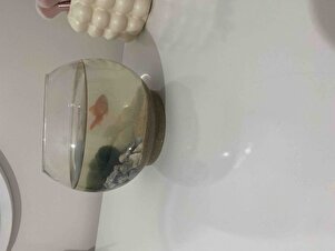 Müşteri yorumu görseli