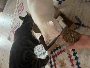 Değerlendirme fotoğrafı