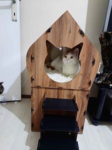 Müşteri yorumu görseli