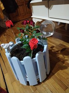 Müşteri yorumu görseli