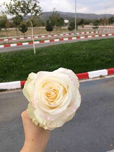 Müşteri yorumu görseli