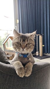 Değerlendirme fotoğrafı