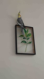 yorum görseli