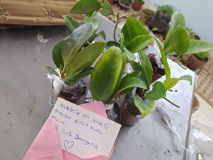 Müşteri yorumu görseli