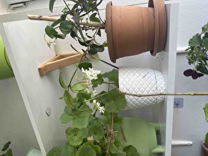 Müşteri yorumu görseli