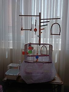 Müşteri yorumu görseli