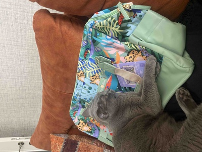 Değerlendirme fotoğrafı