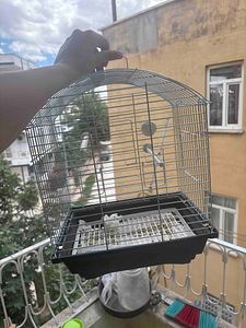 Müşteri yorumu görseli