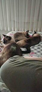 Değerlendirme fotoğrafı