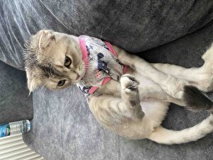 Değerlendirme fotoğrafı