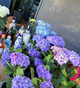 Değerlendirme fotoğrafı