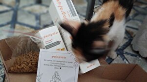 Değerlendirme fotoğrafı