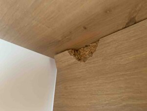 Müşteri yorumu görseli