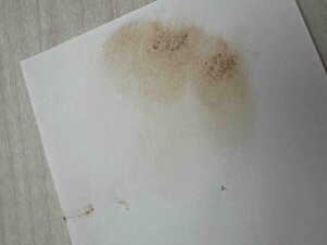 Müşteri yorumu görseli