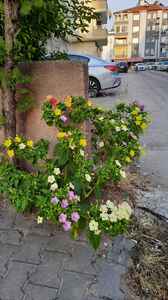 Değerlendirme fotoğrafı