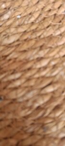 Değerlendirme fotoğrafı