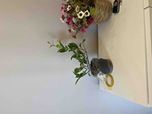 Müşteri yorumu görseli