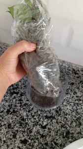 Müşteri yorumu görseli