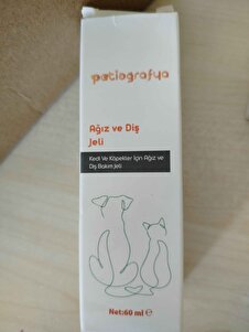 Değerlendirme fotoğrafı