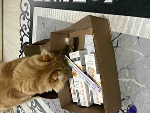 Değerlendirme fotoğrafı