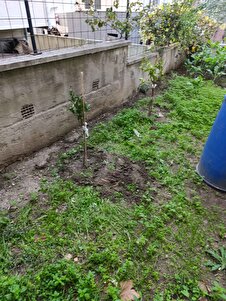 Müşteri yorumu görseli