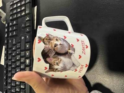 Değerlendirme fotoğrafı