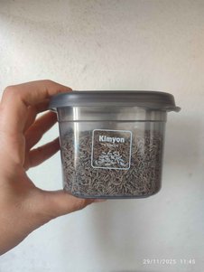 yorum görseli
